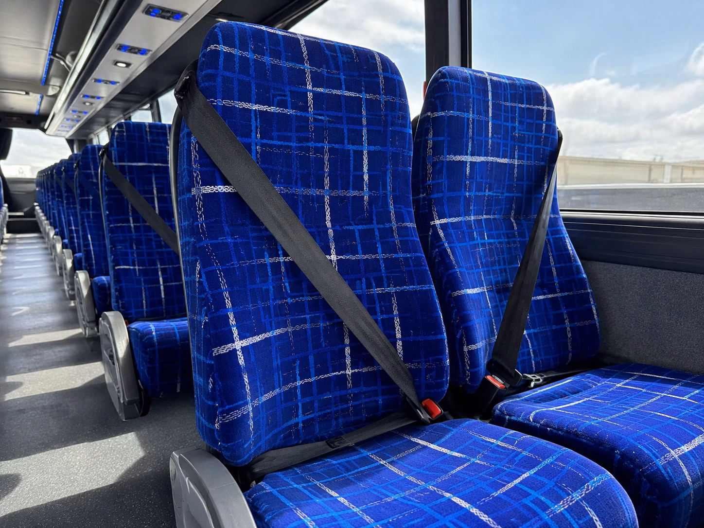 round rock wine tour brewery transportation onboard seating